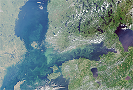 Satelliittikuva Itämeri 260